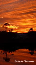 Fiery Sky
