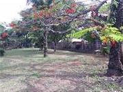 In The Village Of Ezzagbon Beautiful Garden
