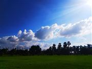 Blue Sky