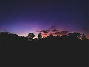 Just Before Night