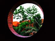Nature In A Circle 