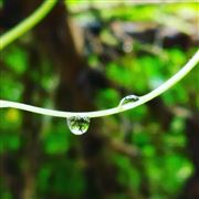 Water Drop Of Nature