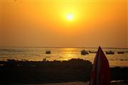 Sun Kissed Sea