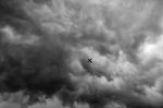 Fly On Cloudy Sky