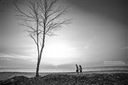 Walk Together 