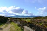 Irish Mountain Hike