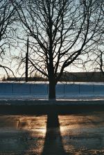 Estonian Spring