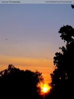 Beautiful Sunset