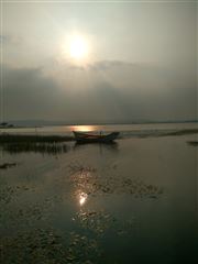 Peaceful Nature