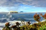 Bromo
