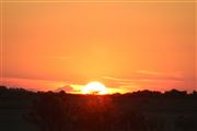 Sunset In Welkom 