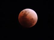 Rusty Moon