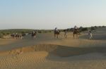 Desert