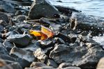 Fall On The Rocks