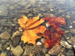 Fall Under The Surface