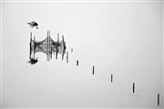 Flying Over