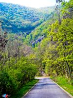 Nature Is The Art Of God 
