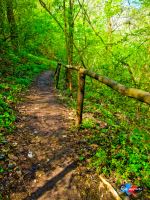 Nature Never Goes Out Of Style  
