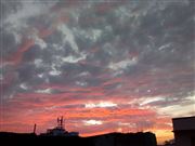 Evening Photography