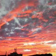 Evening Photography