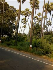 This Is Not South India