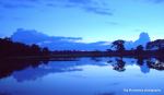 Blues