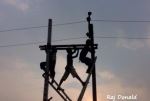 Workers In The Sun