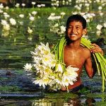 Child And Flowers