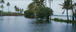 Nature   Back Waters