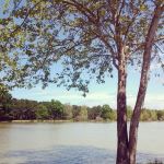 Lake On An Afternoon Sunday
