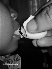 Feeding The Young??