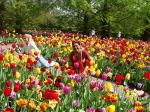 Flowers In Kenkenhof Garden