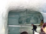 Ice Tunnel At Mount Jungfraujoch