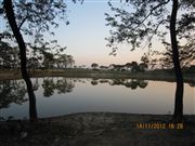 My Journey From Dawn To Dusk