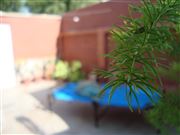 A Photo Of Croto