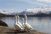 Hope Of Rara