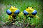 Before The Mating