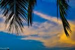 Colour Of Dawn