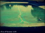 End Of Summer 2013