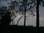 Dark Weather 