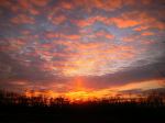 Gorgeous Sunset