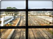 Train Travel