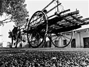 Village Cart 