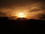 The Sun Shines In Africa