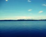 The Shades Of Blue