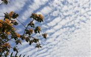 Sky Clouds