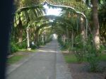 The Green Arcade
