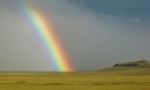The Life Saving Rainbow