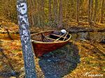 A Boat Amongst The Trees Of Finland