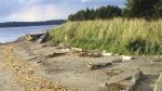 Massett Beach
